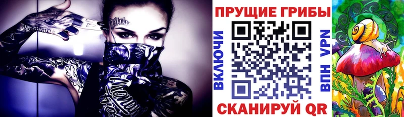 Псилоцибиновые грибы мицелий  Полтавская 